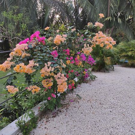 קאריו House In The Palm Forest מראה חיצוני תמונה