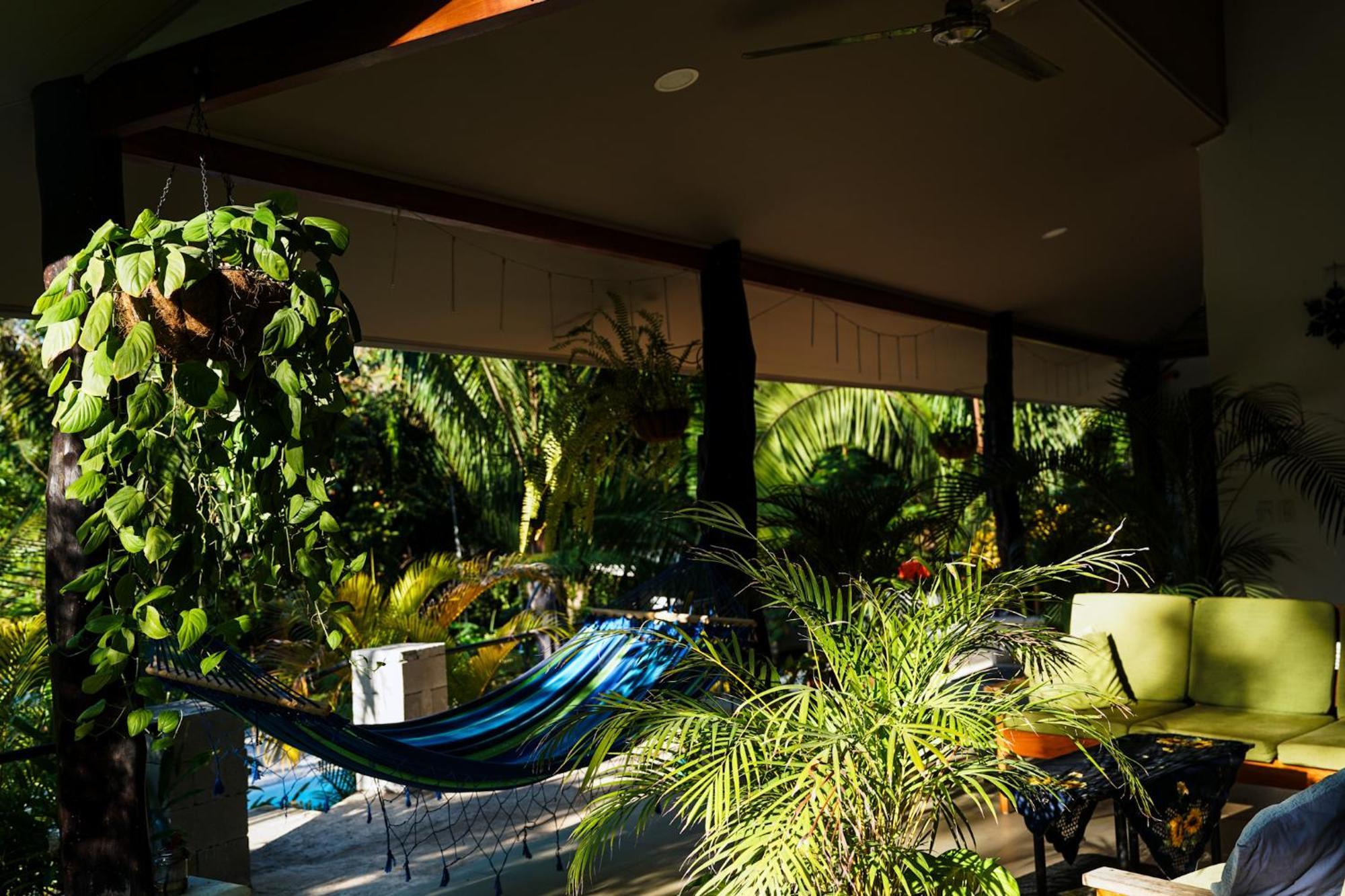קאריו House In The Palm Forest מראה חיצוני תמונה