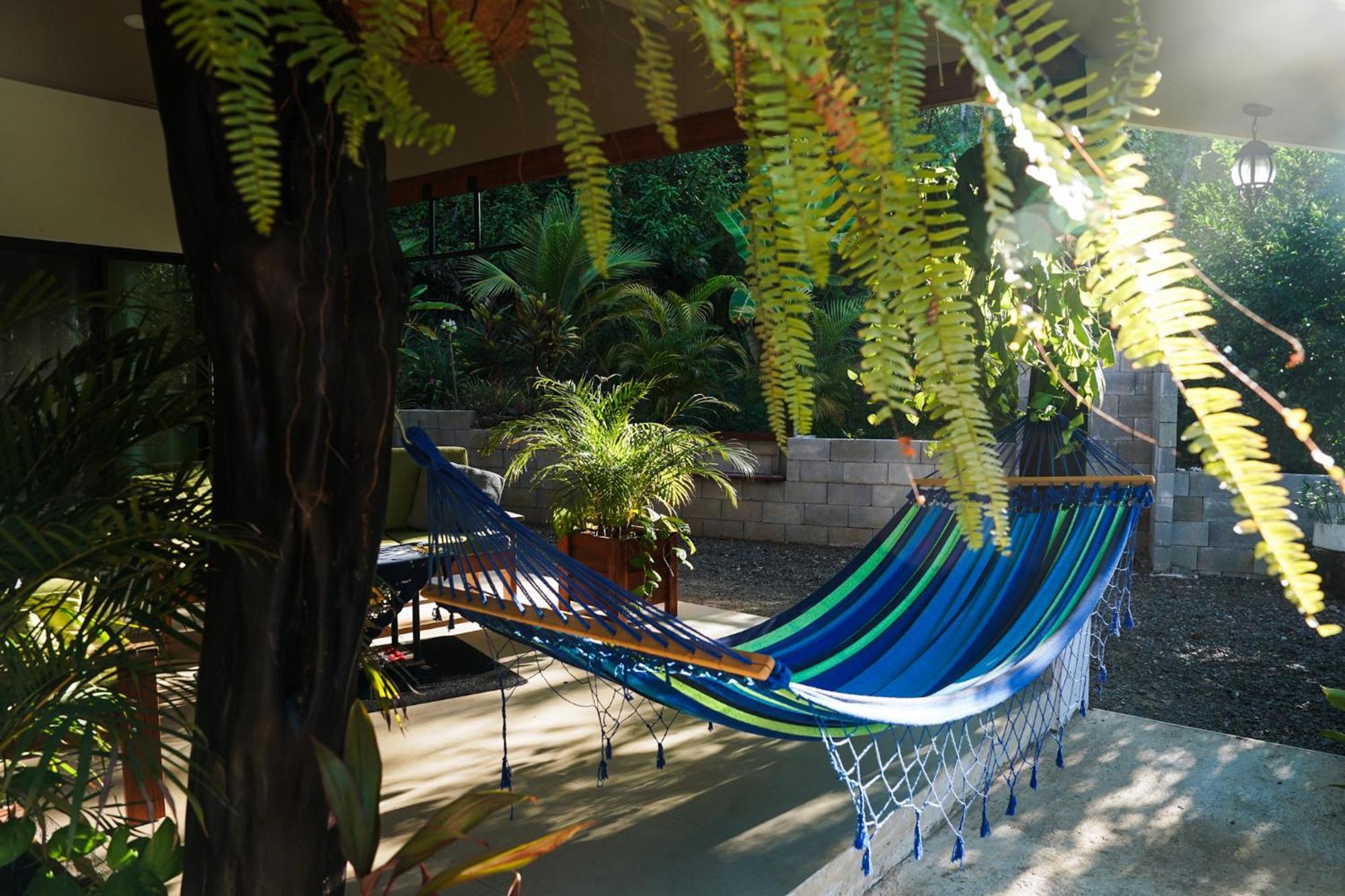 קאריו House In The Palm Forest מראה חיצוני תמונה