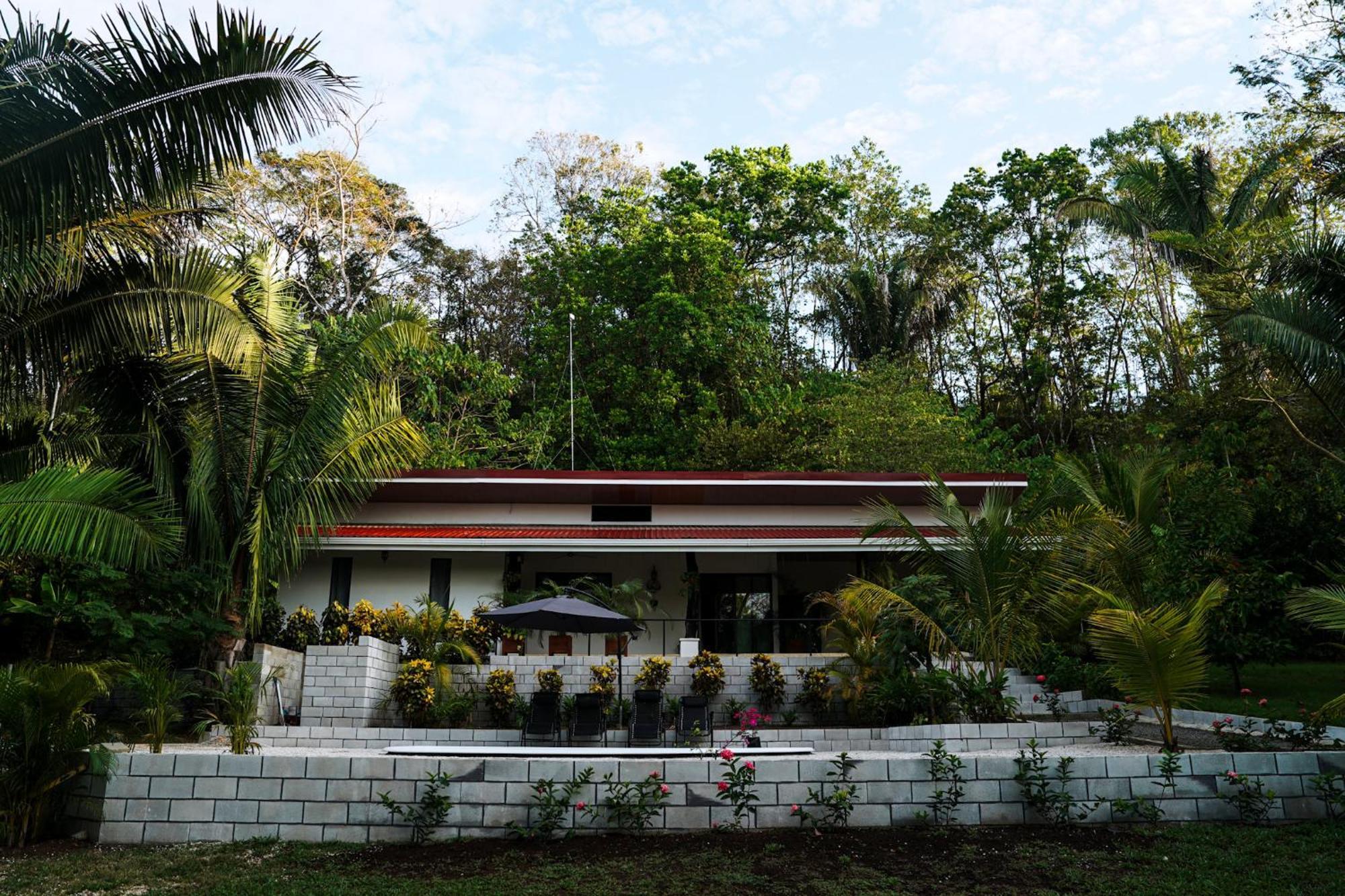קאריו House In The Palm Forest מראה חיצוני תמונה