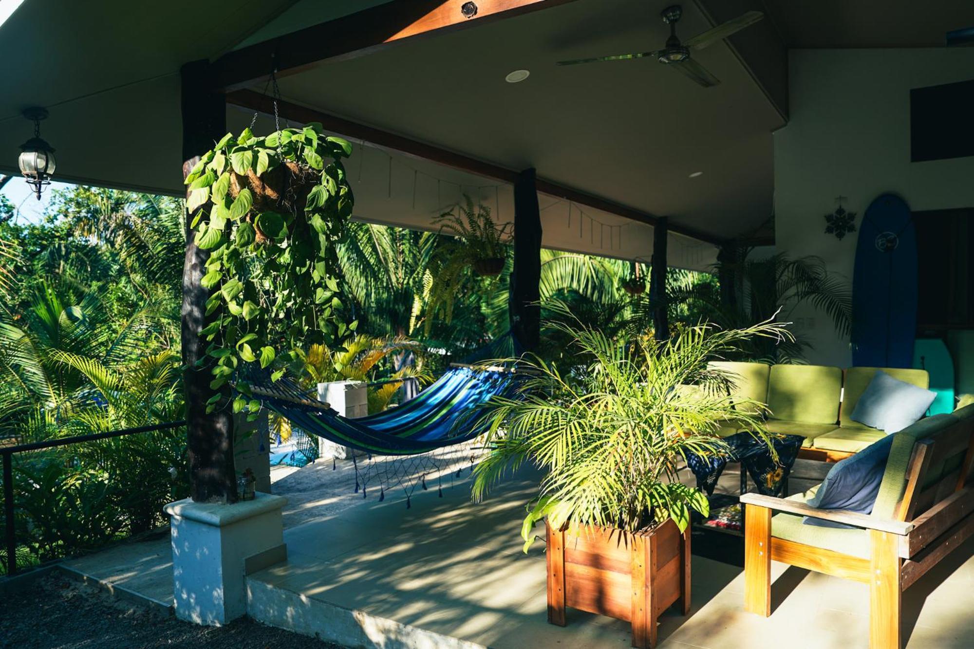 קאריו House In The Palm Forest מראה חיצוני תמונה
