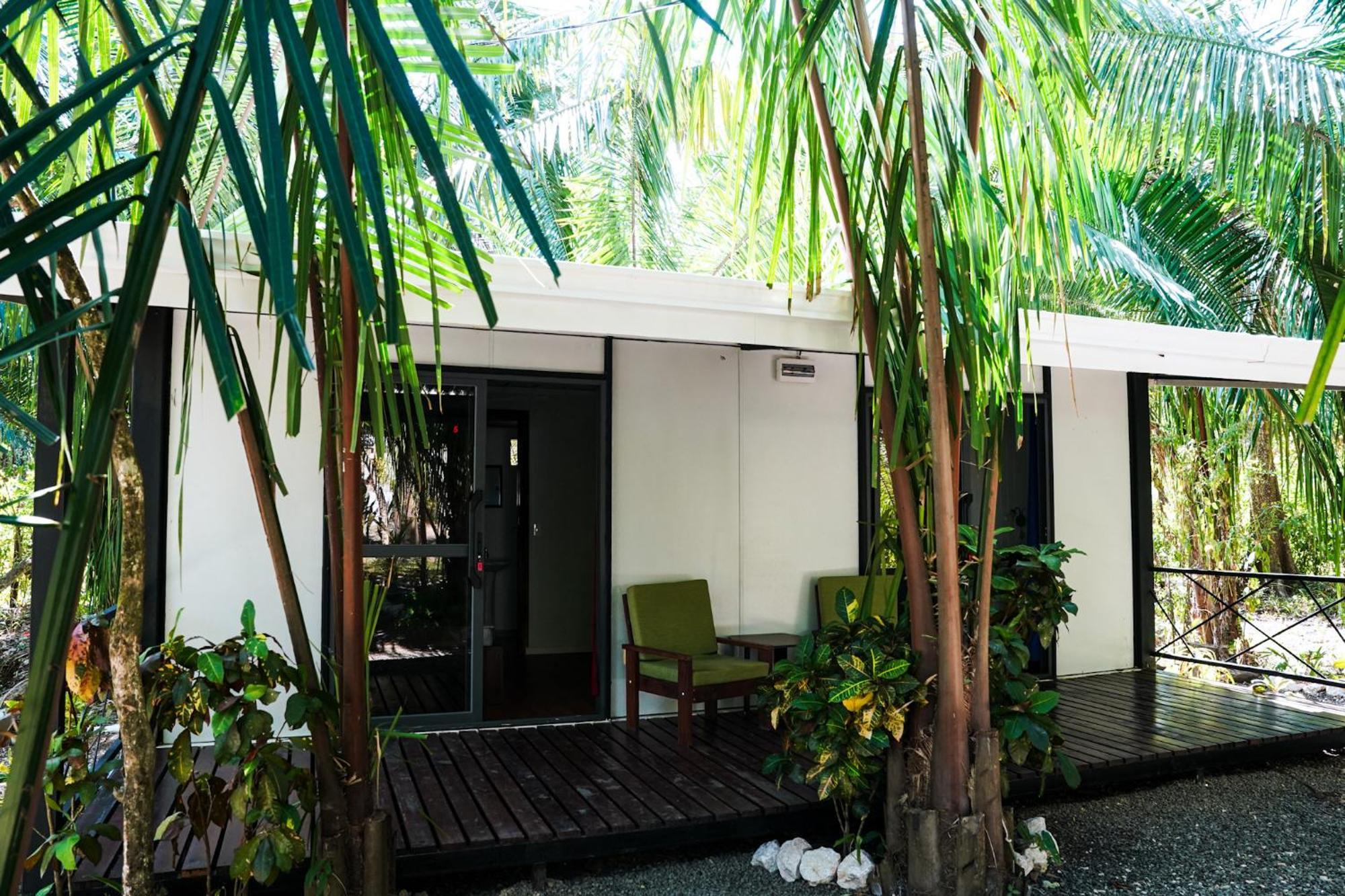 קאריו House In The Palm Forest מראה חיצוני תמונה