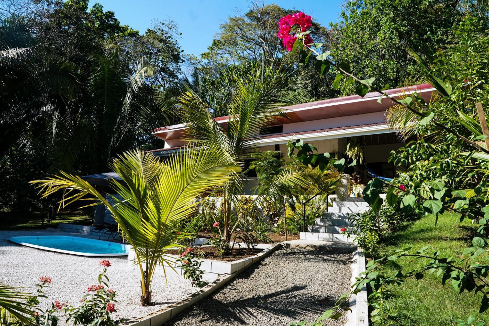 קאריו House In The Palm Forest מראה חיצוני תמונה