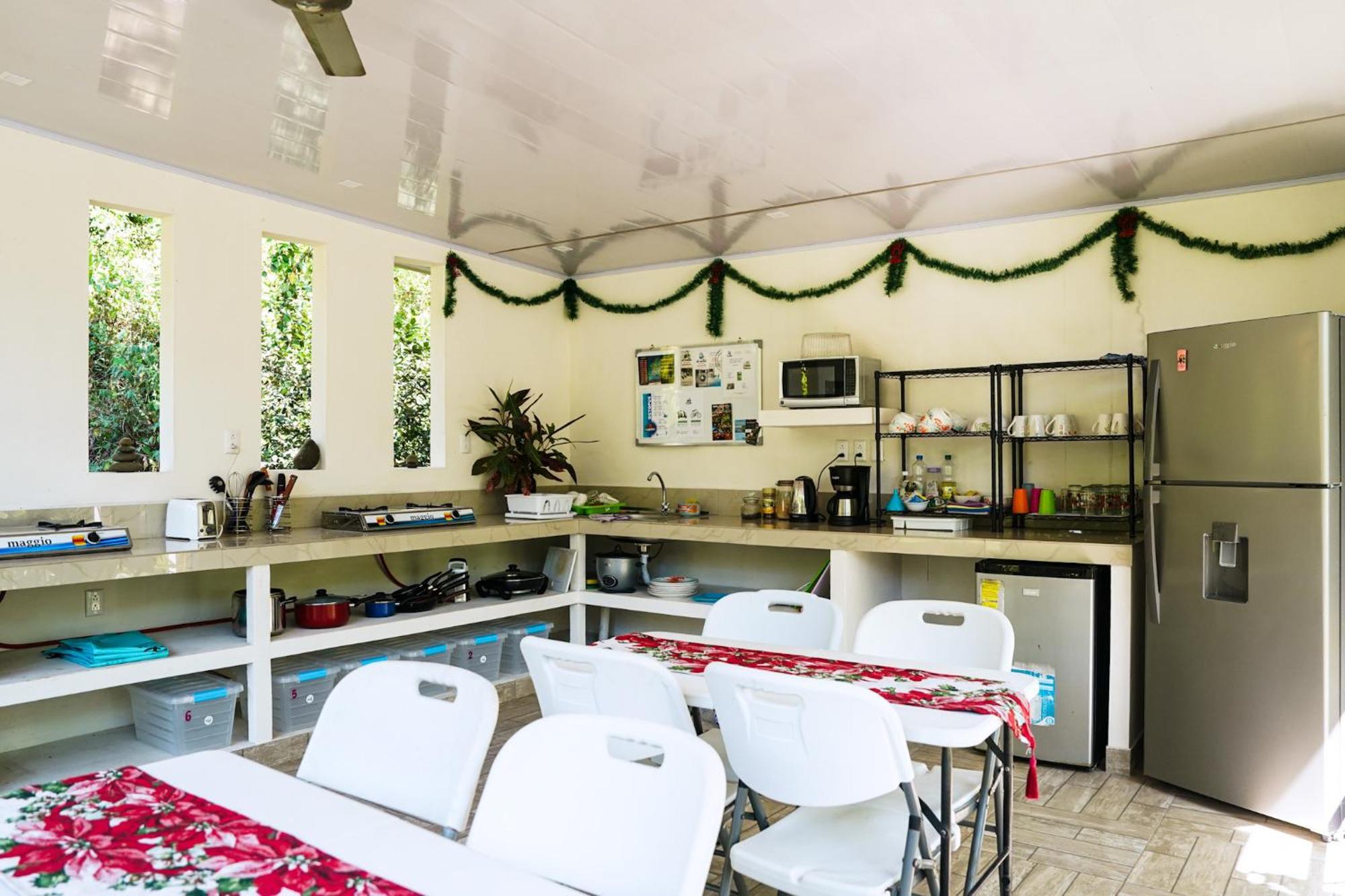 קאריו House In The Palm Forest מראה חיצוני תמונה