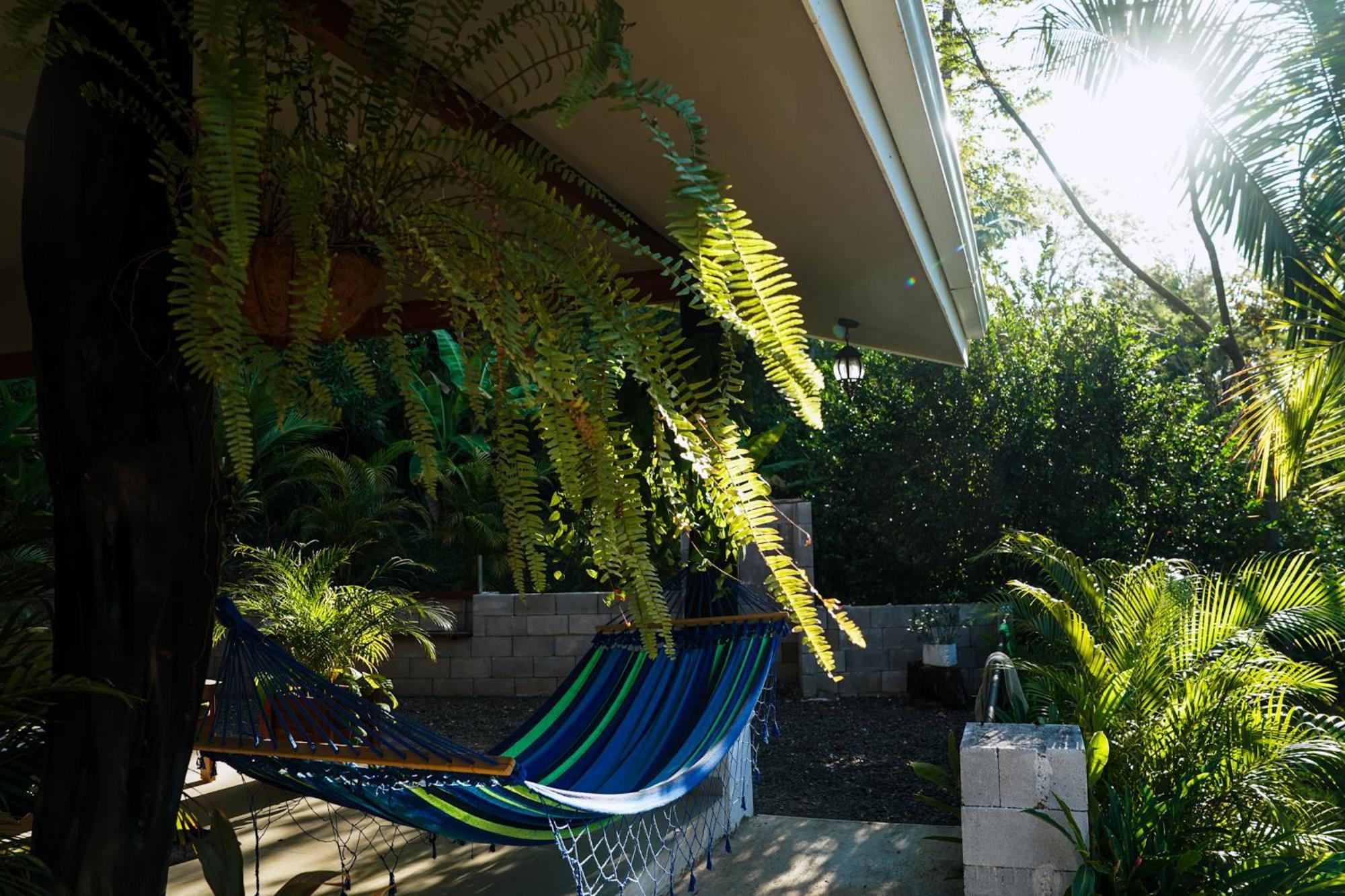 קאריו House In The Palm Forest מראה חיצוני תמונה