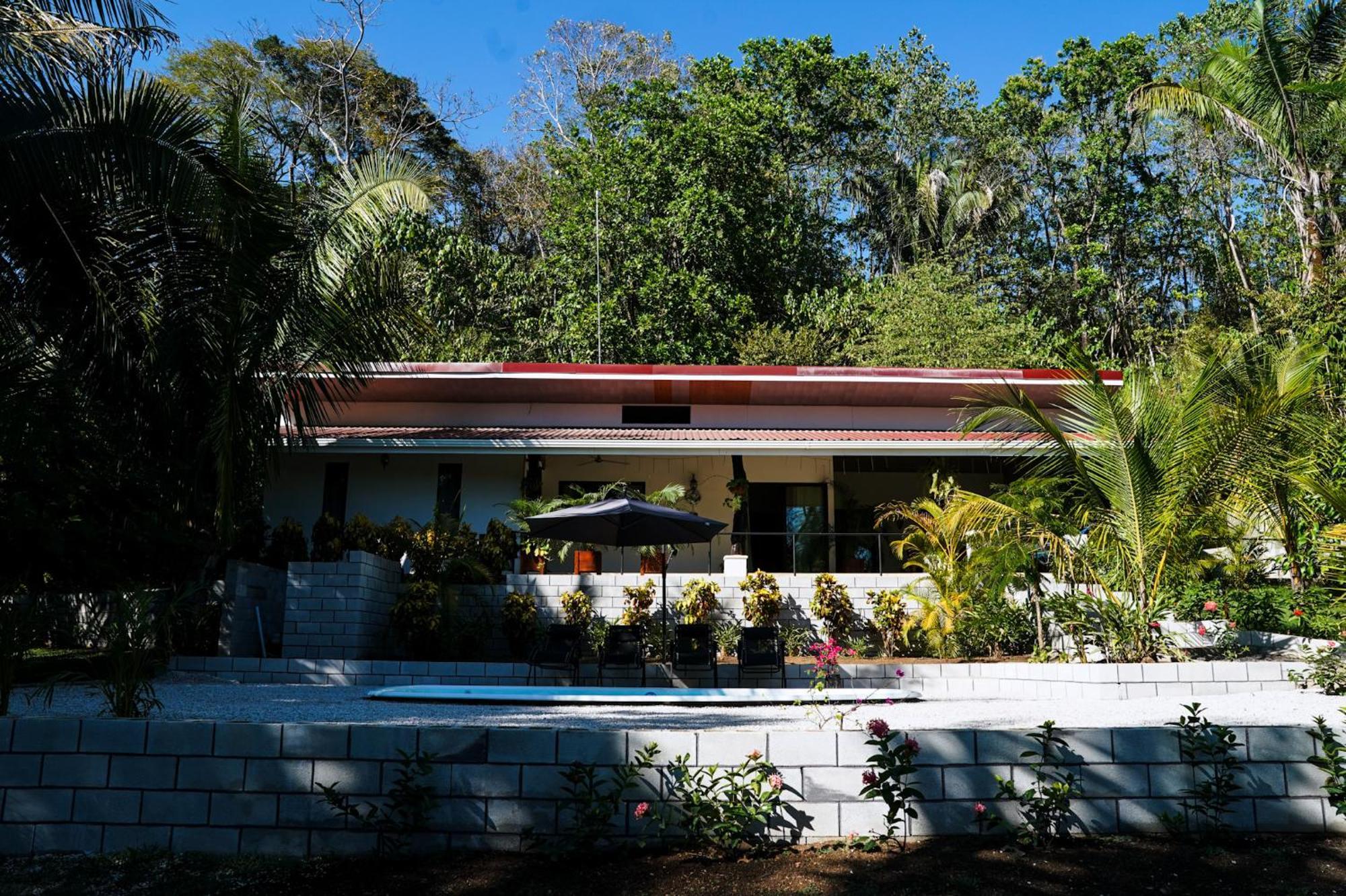 קאריו House In The Palm Forest מראה חיצוני תמונה