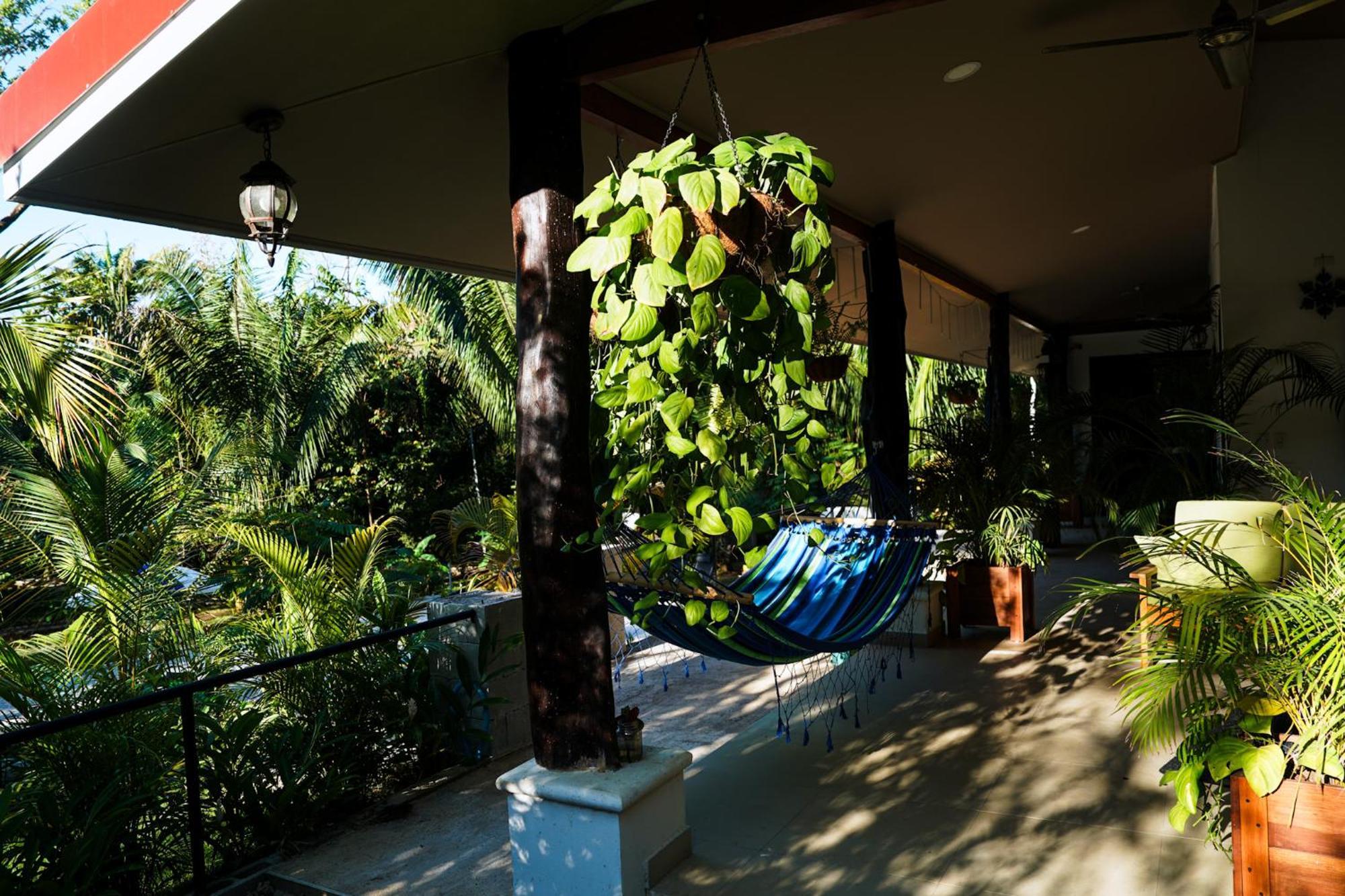 קאריו House In The Palm Forest מראה חיצוני תמונה