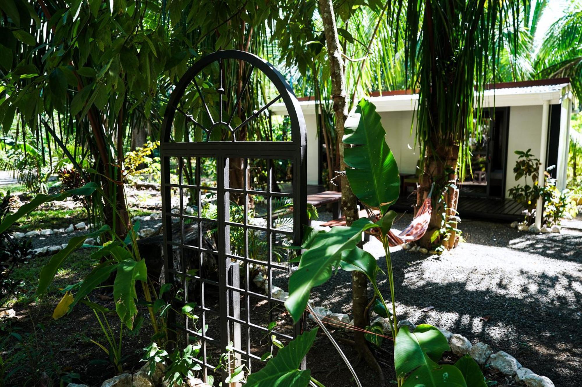 קאריו House In The Palm Forest מראה חיצוני תמונה