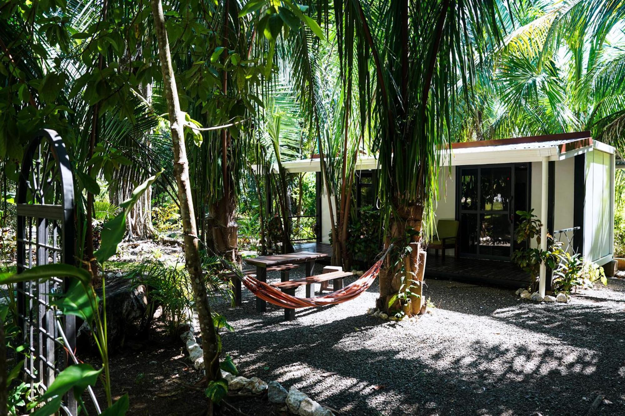 קאריו House In The Palm Forest מראה חיצוני תמונה
