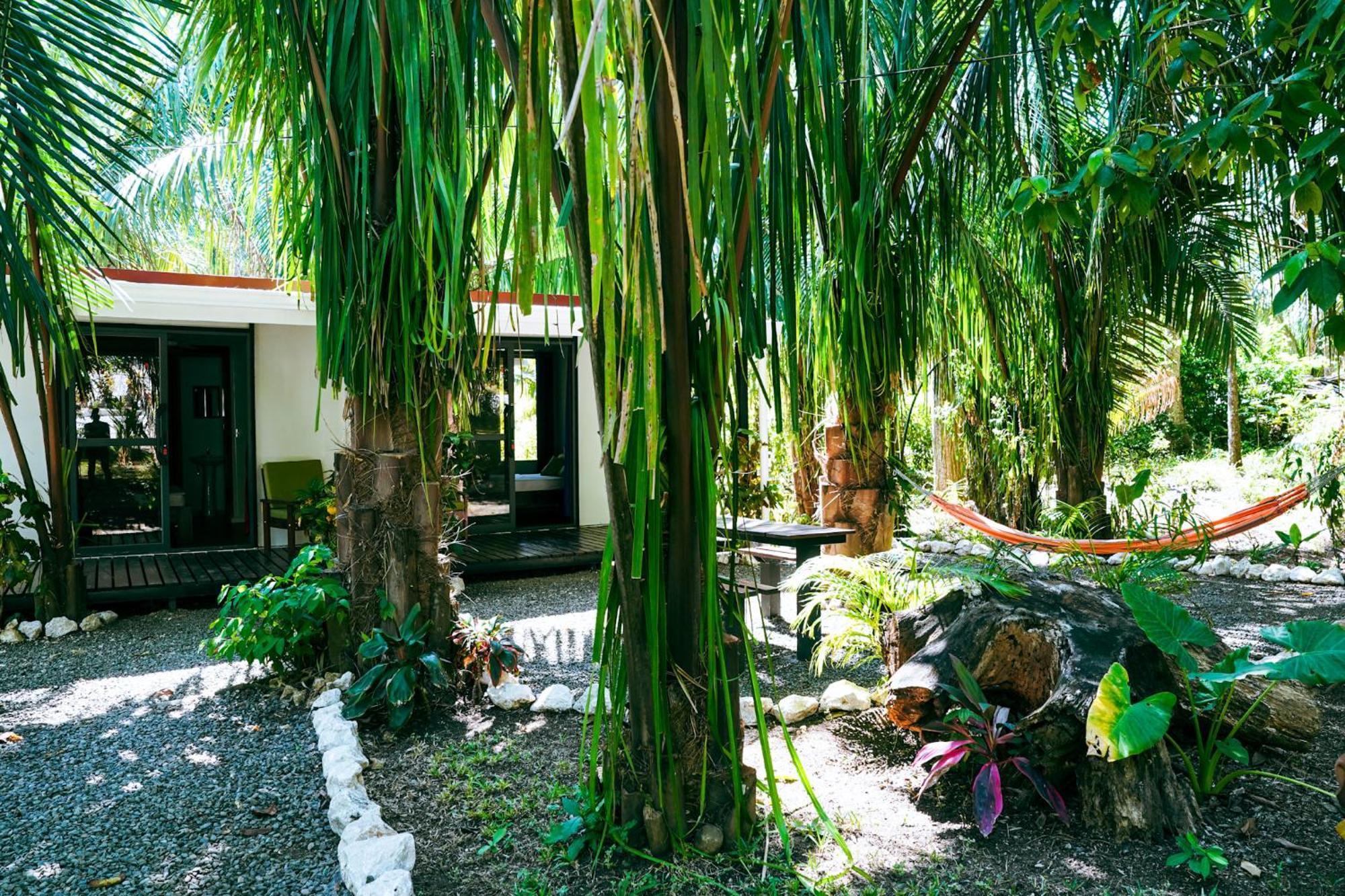 קאריו House In The Palm Forest מראה חיצוני תמונה