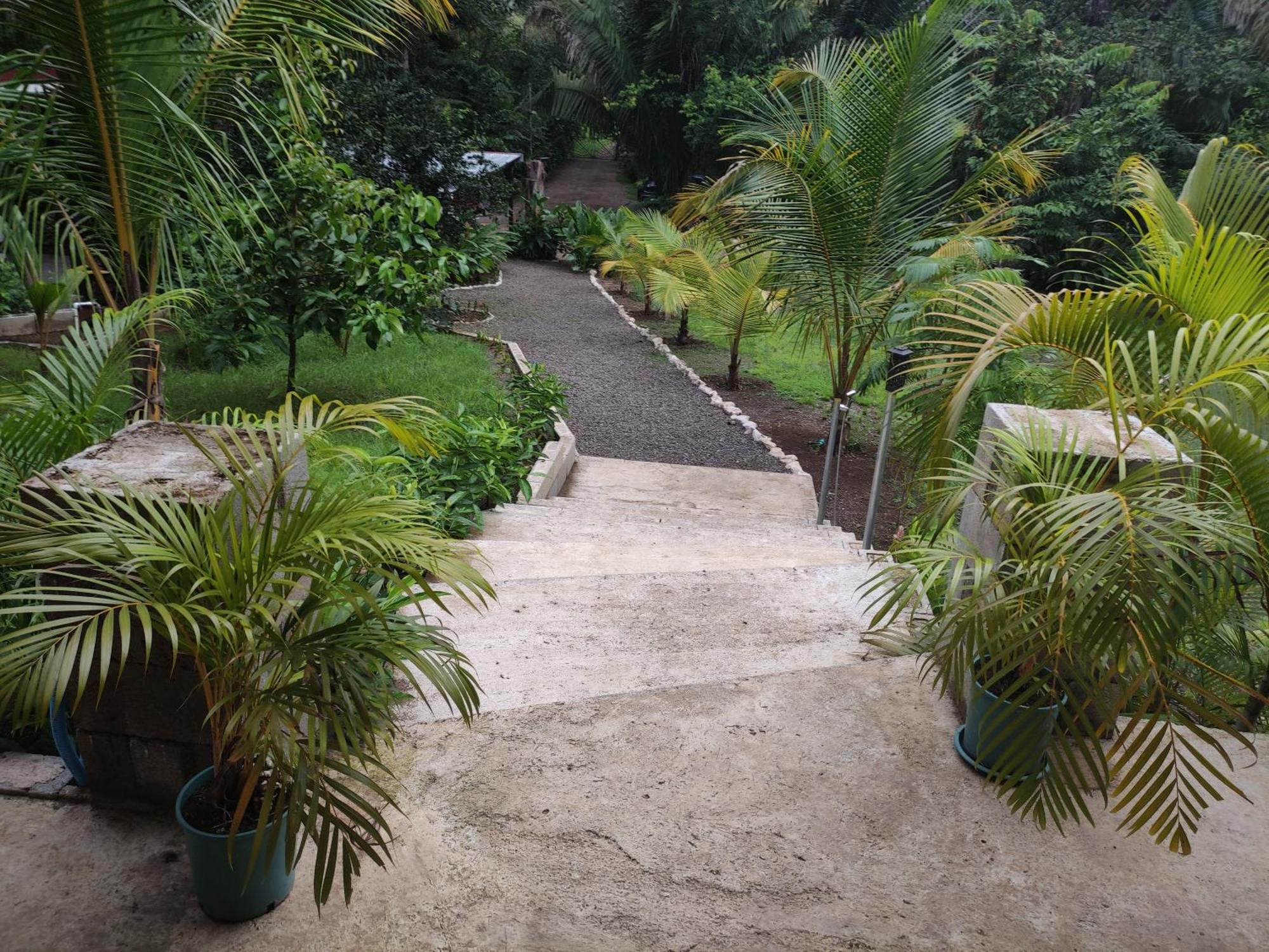 קאריו House In The Palm Forest מראה חיצוני תמונה